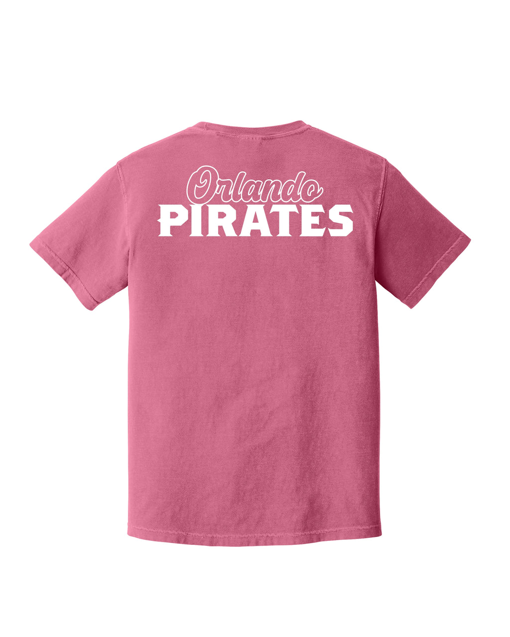 Comfort Colors® Heavyweight Ring Spun Tee - Art Style 2