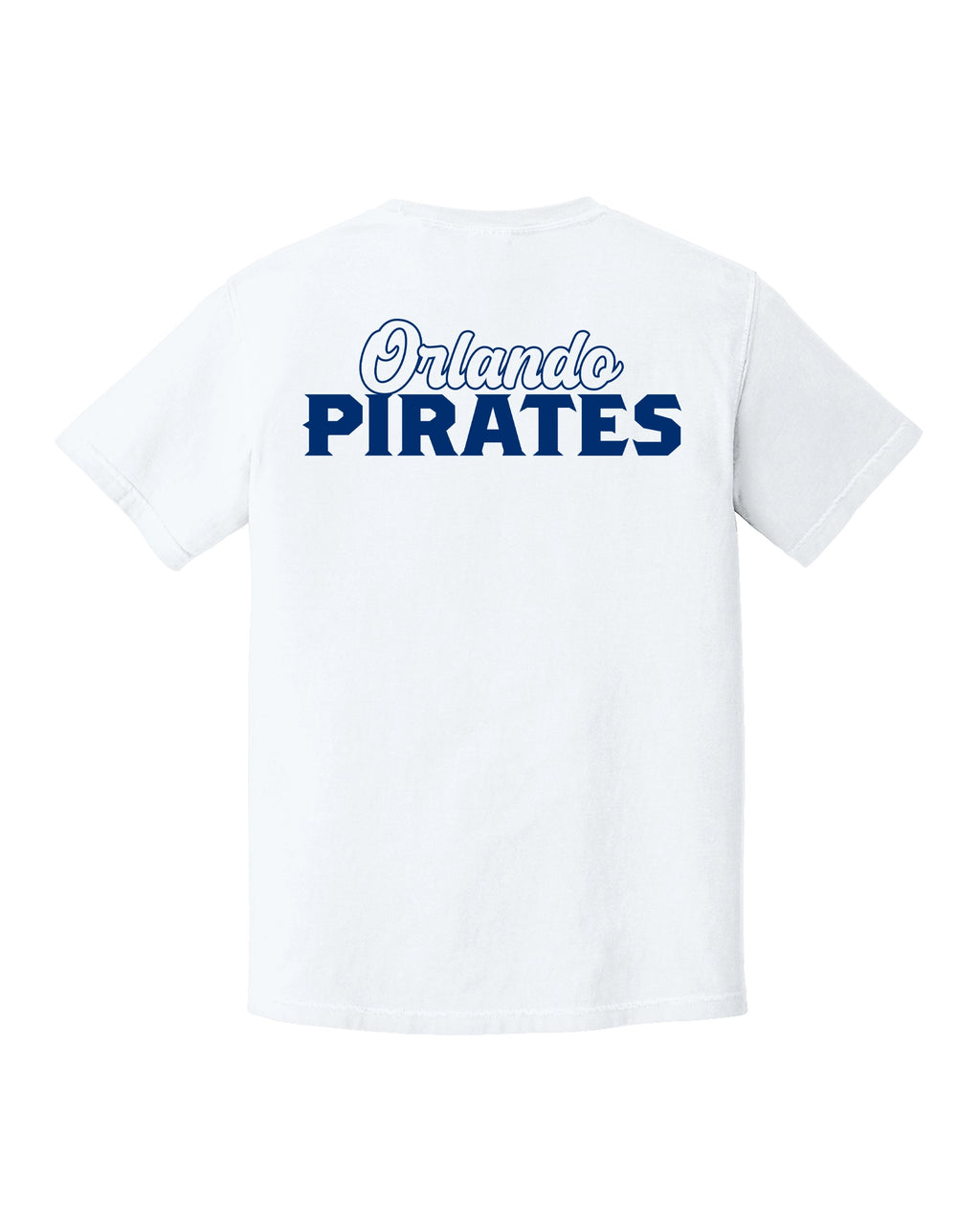 Comfort Colors® Heavyweight Ring Spun Tee - Art Style 2