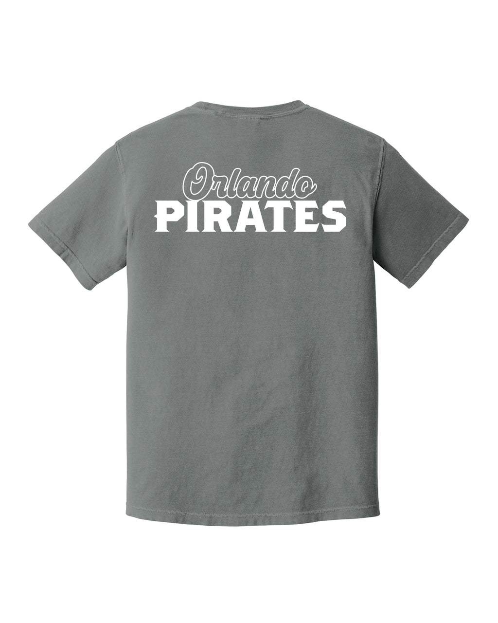 Comfort Colors® Heavyweight Ring Spun Tee - Art Style 2