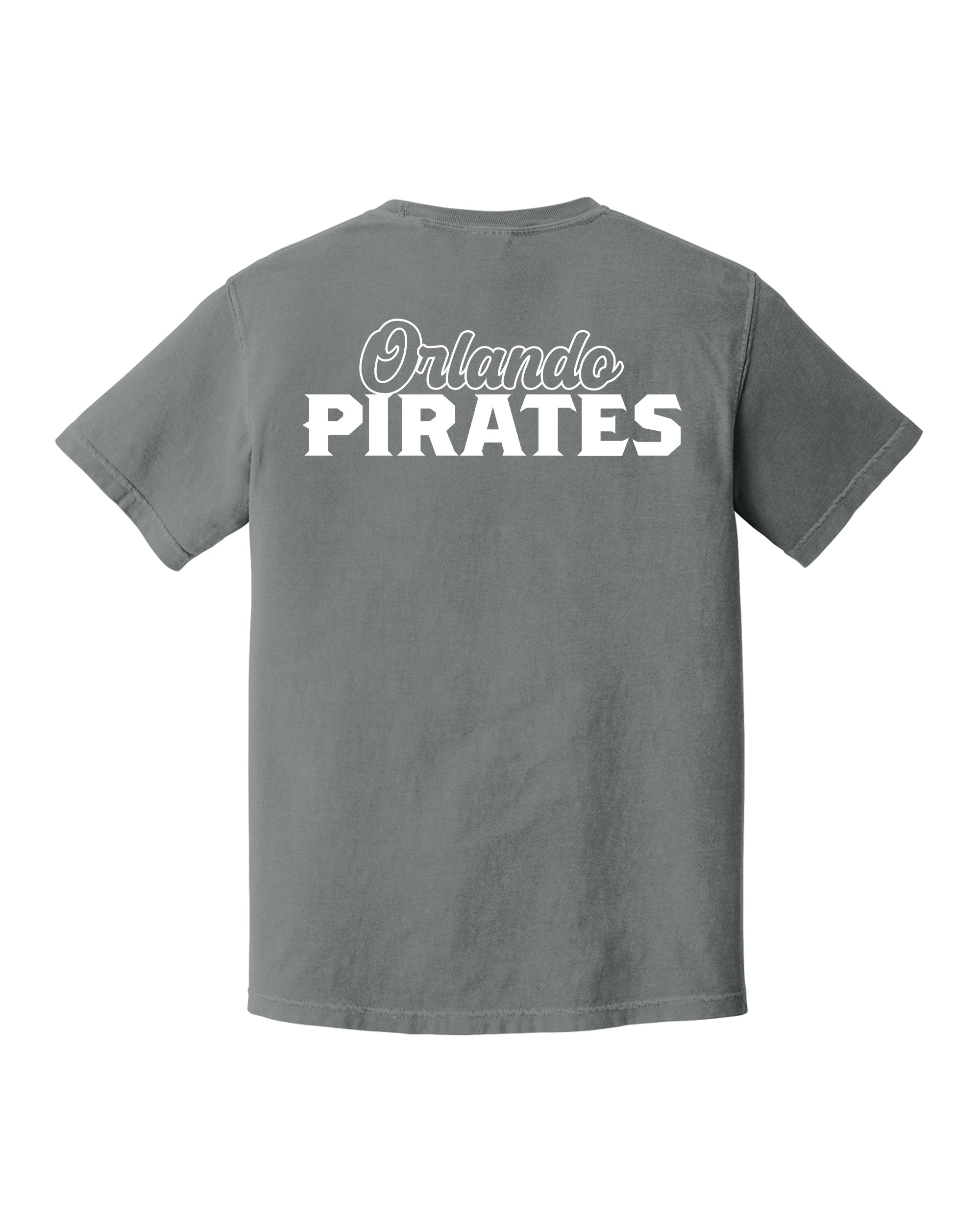 Comfort Colors® Heavyweight Ring Spun Tee - Art Style 2